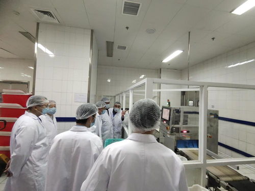 智能科技賦能民生服務(wù) 金豐餐飲自動(dòng)化配餐與婚姻介紹服務(wù)的創(chuàng)新融合