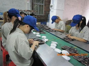 東莞安盈驗(yàn)貨公司 您可靠的鞋類(lèi)驗(yàn)貨合作伙伴