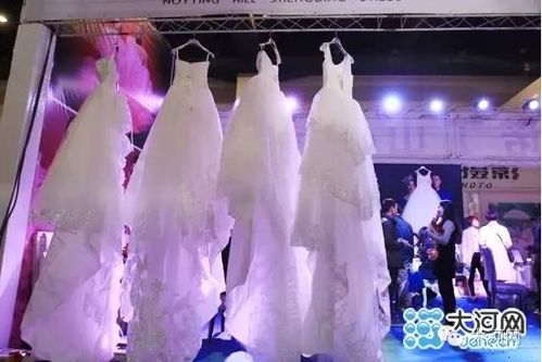 鄭州婚介市場(chǎng)亂象調(diào)查 用戶(hù)資產(chǎn)隨意填，個(gè)人信息無(wú)隱私保護(hù)