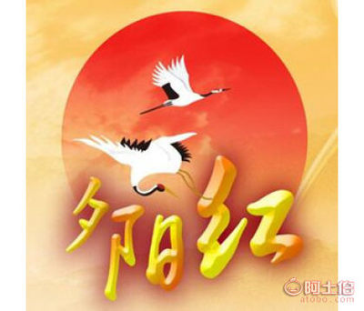 為愛續航，讓晚霞更美——記南昌心相印情系夕陽紅婚介服務